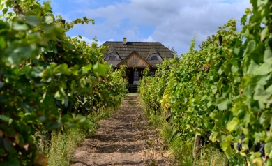 Lubuskie - idealny region na weekendową turystykę